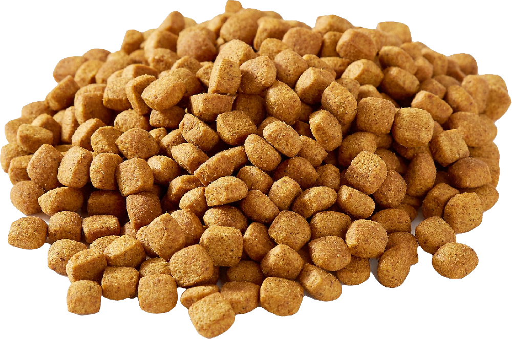 在宠物食品加工中，特劳士蒸汽发生器的实际应用