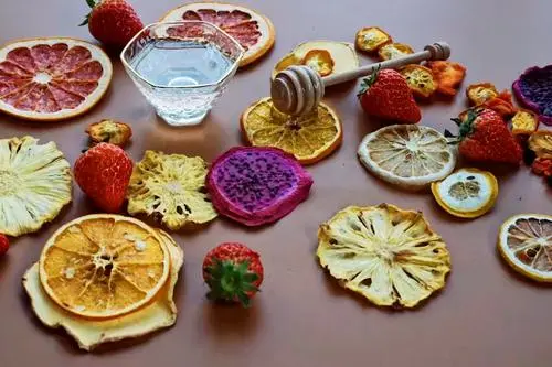 使用特劳士蒸汽发生器进行冻干食品生产的好处