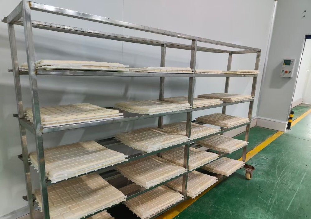 特劳士蒸汽发生器制作豆制品有什么优势?