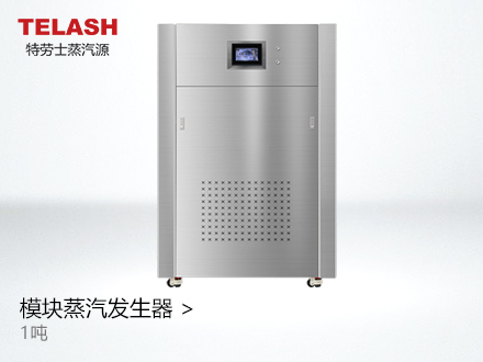 1吨 蒸汽模块炉