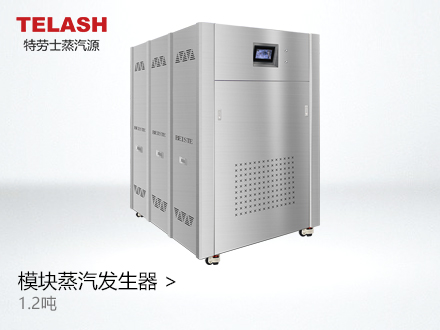 1.2吨 蒸汽模块炉