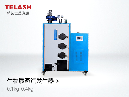 100kg-400kg生物质蒸汽发生器
