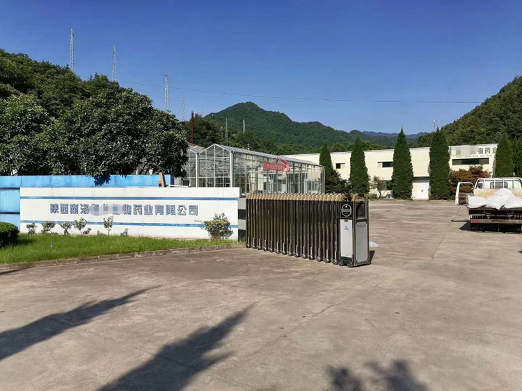 陕西商洛生物药业有限公司216kw电加热蒸汽发生器