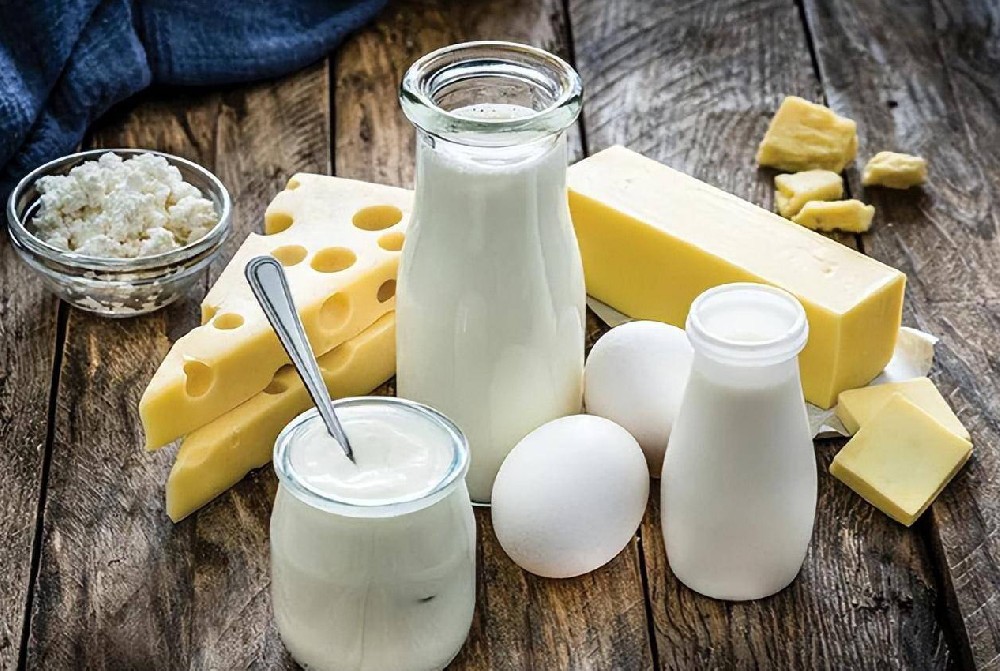 特劳士蒸汽发生器在乳制品生产加工中的应用