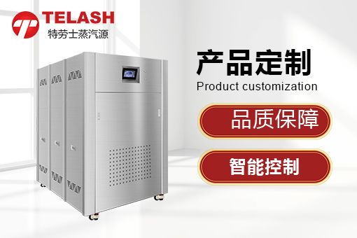 药品厂用的蒸汽发生器！上海特劳士助力深圳药品厂灭菌！